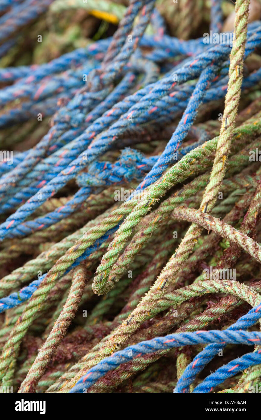 coils of differently coloured rope on st ives pier cornwall Stock Photo