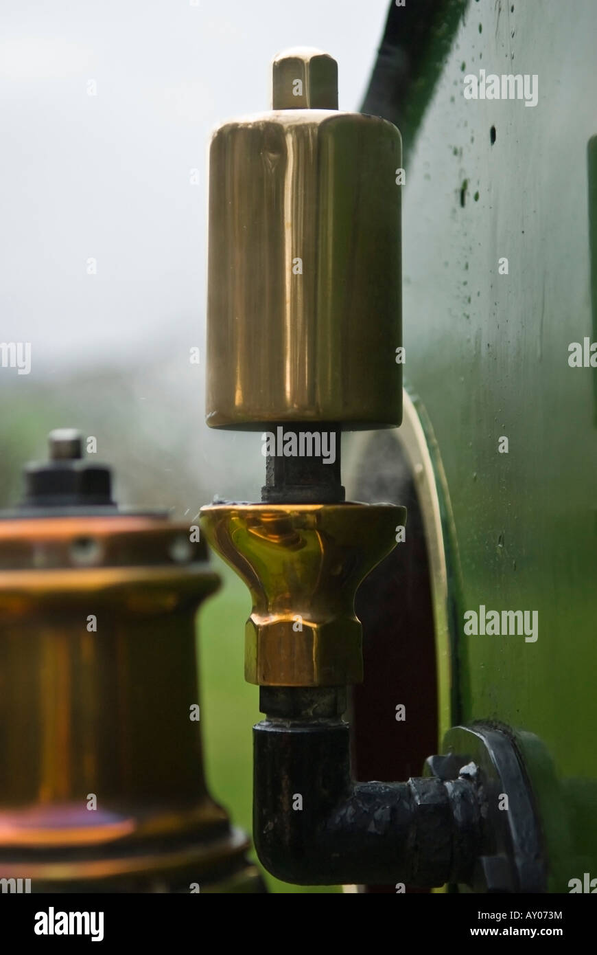 Detail of brass steam whistle and steam valves on a narrow gauge steam