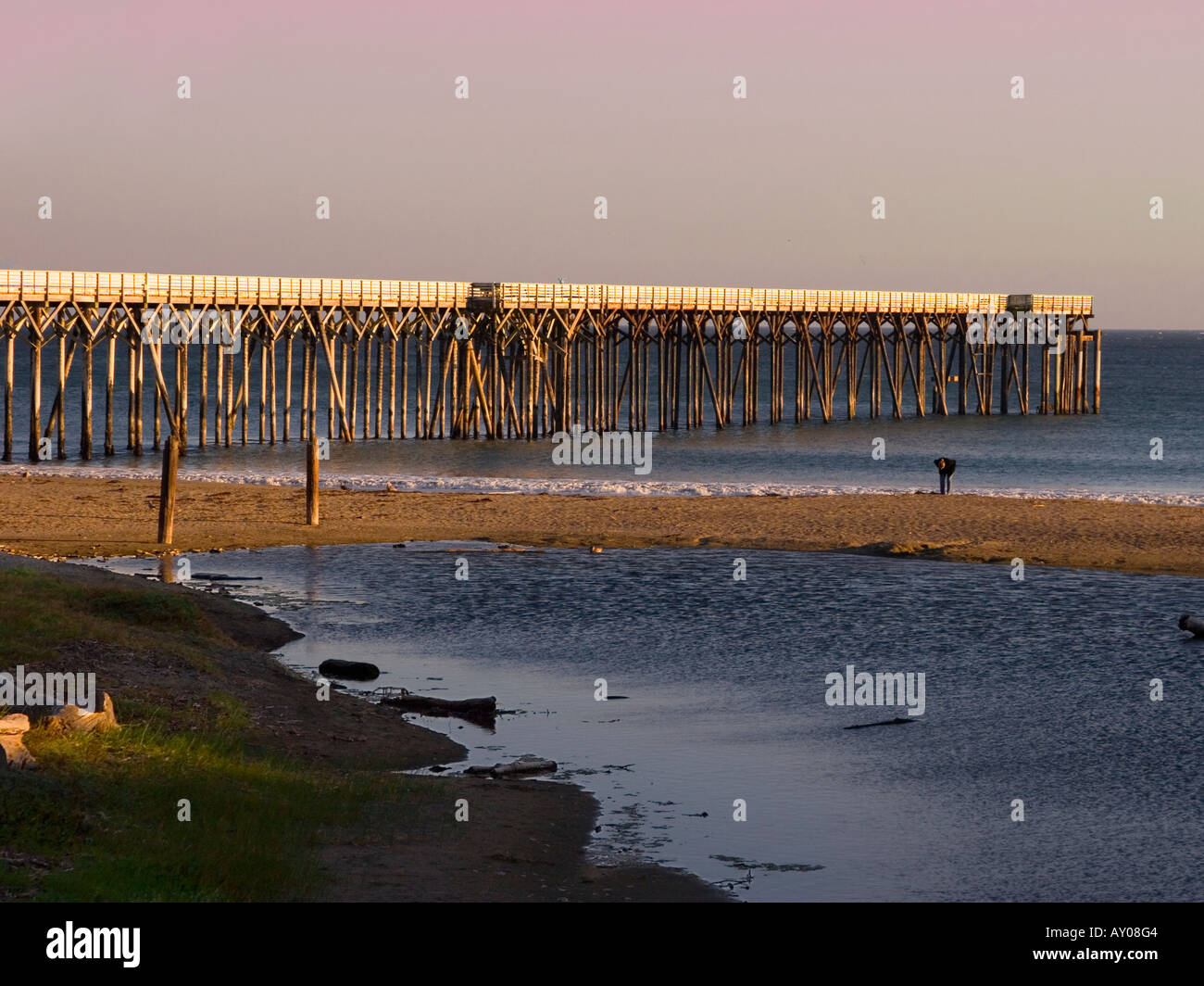 Pier at San Simeon State Beach near the Hearst Castle Stock Photo