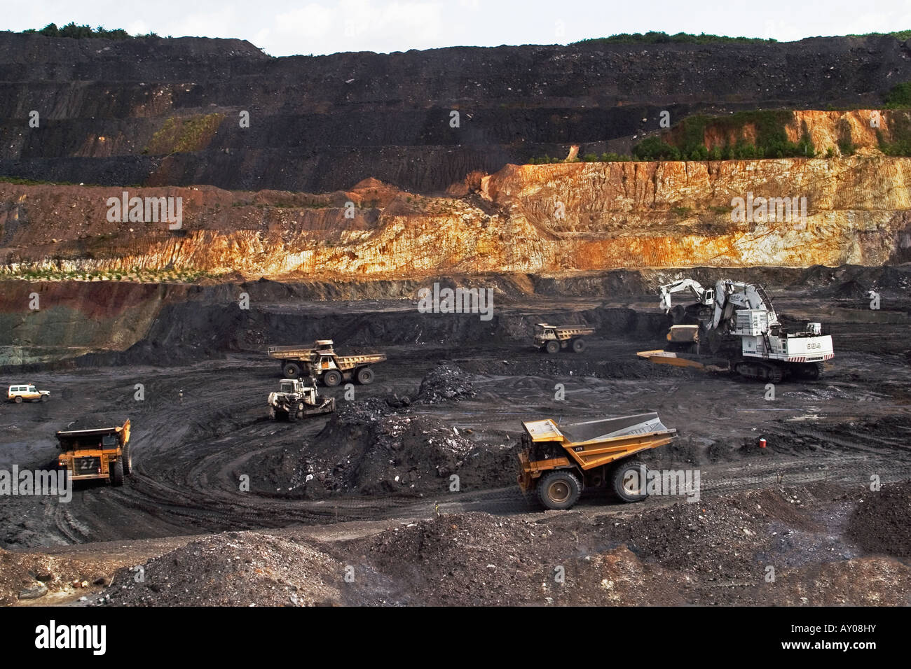 Dump haul trucks being filled with gold ore body for transport from opencast pit to crushing and processing plants Stock Photo