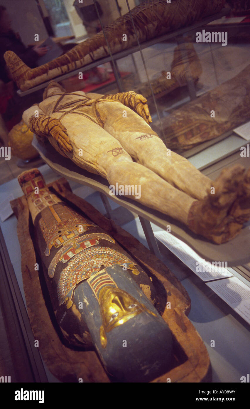 Mummy british museum hires stock photography and images Alamy
