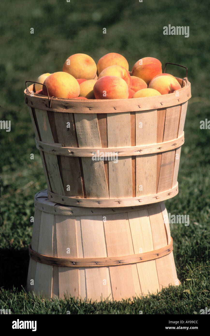 Peach bushel basket fruit hires stock photography and images Alamy