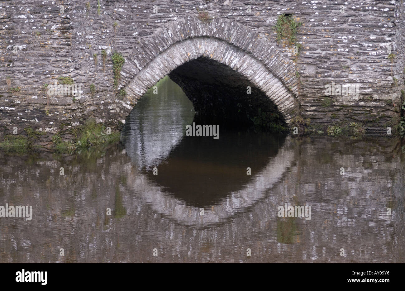 A single span of the fourteenth century bridge in Lostwithiel. Stock Photo