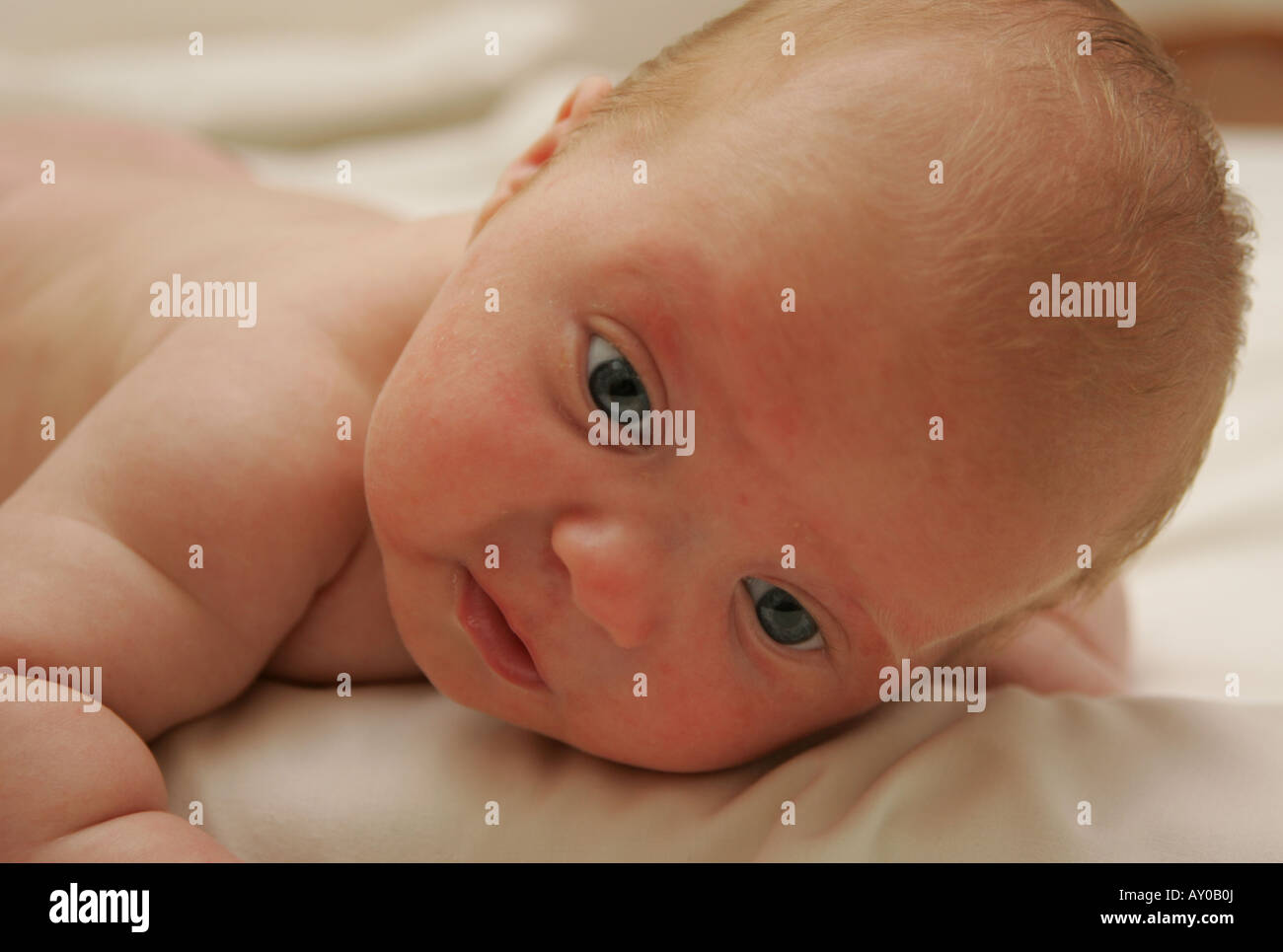 7-week-old-baby-stock-photo-alamy