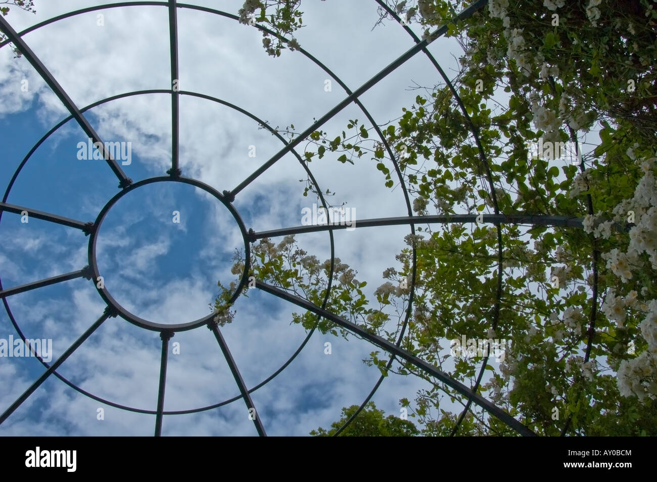 Roses arbor garden trellis hi-res stock photography and images - Alamy