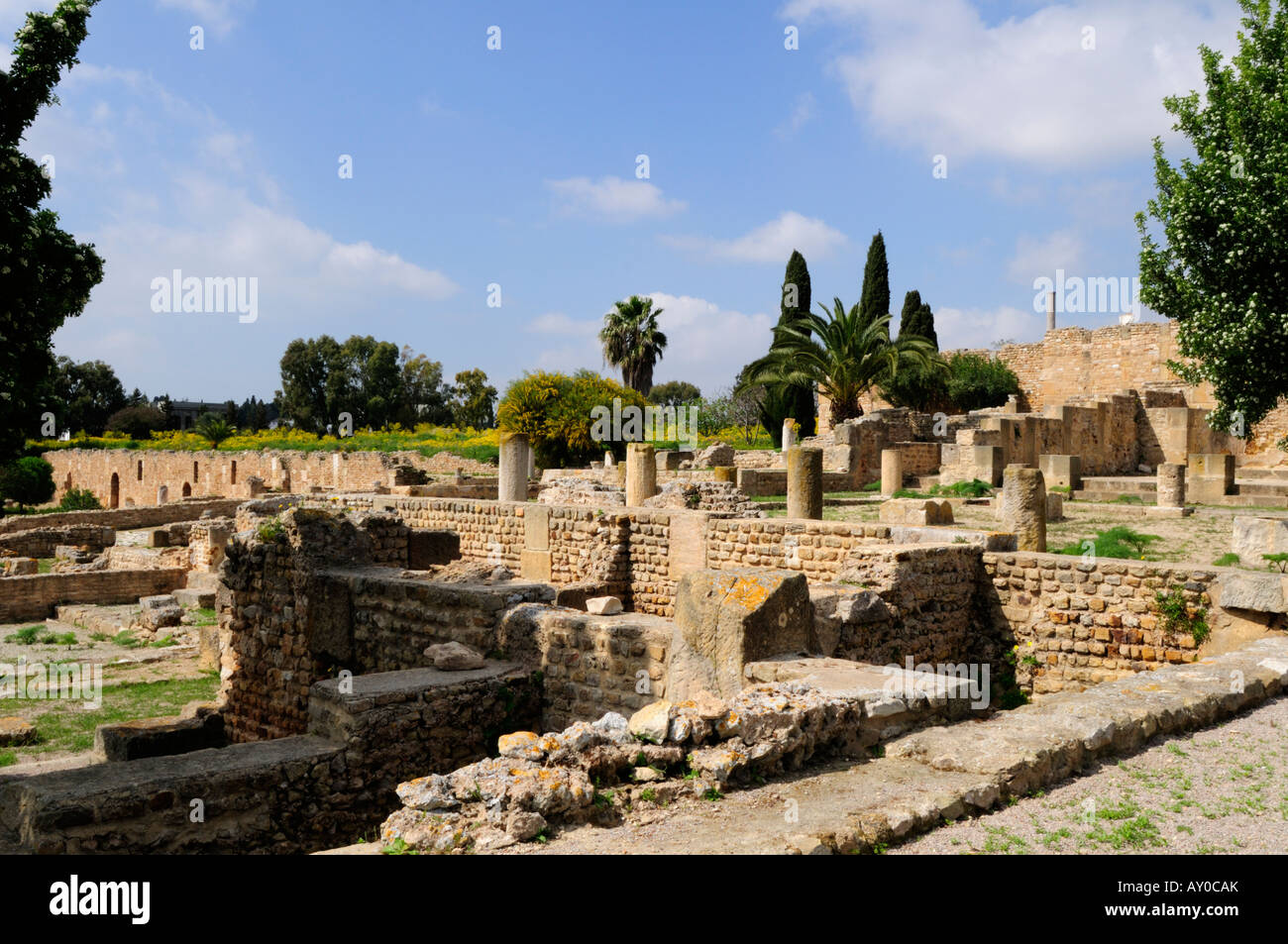 Carthage hires stock photography and images Alamy