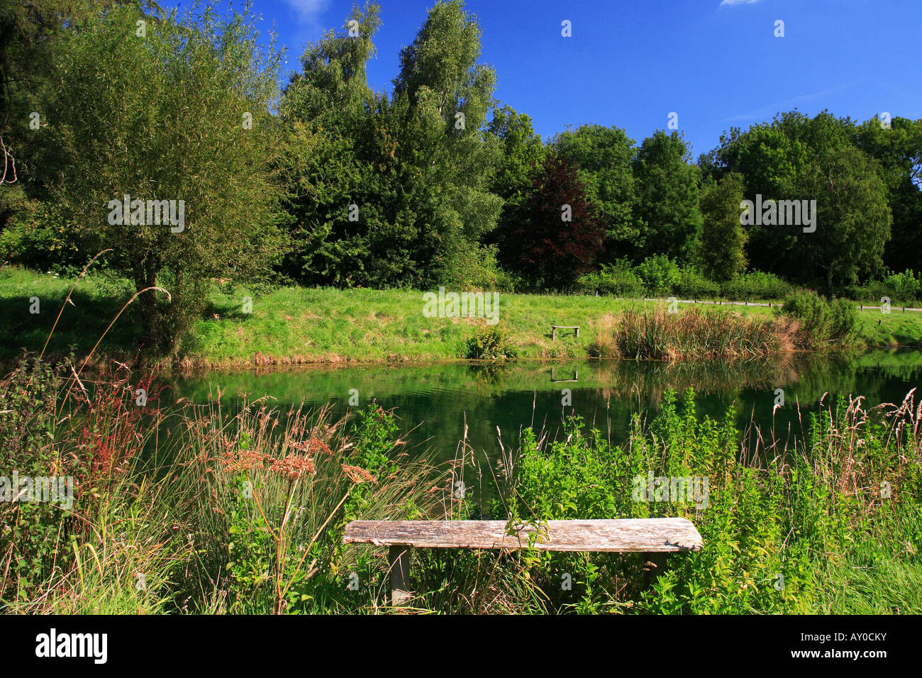 Donnington Trout Farm Cotswolds England Stock Photo Alamy