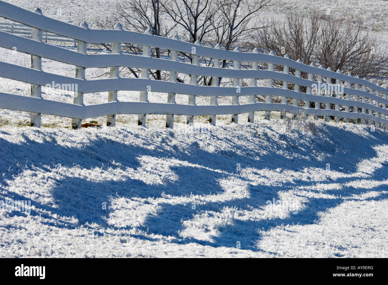 White wood wooden fence hi-res stock photography and images - Alamy