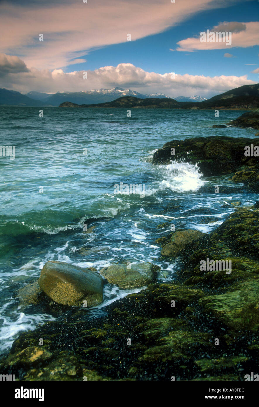 Rocky shore of the Beagle Channel in Tierra del Fuego National Park Stock Photo