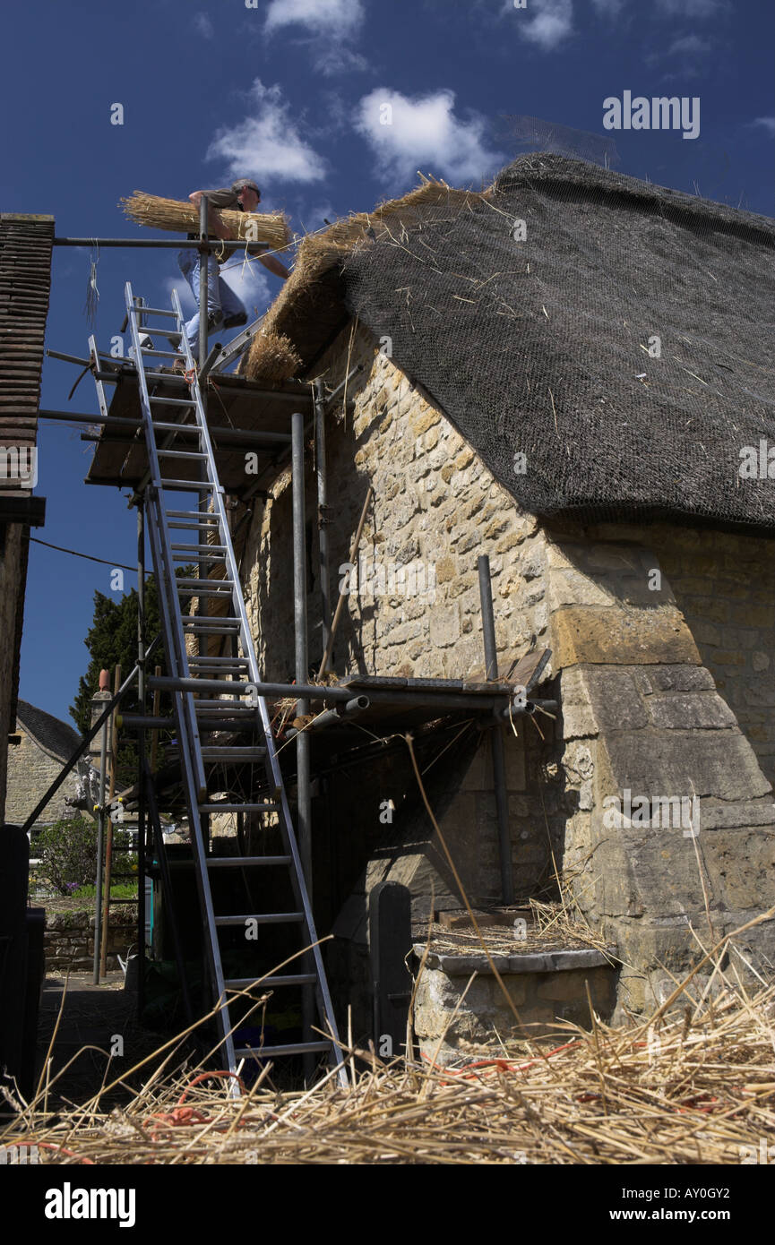 Man Thatching a Roof, Cotswolds, England, UK Stock Photo Alamy