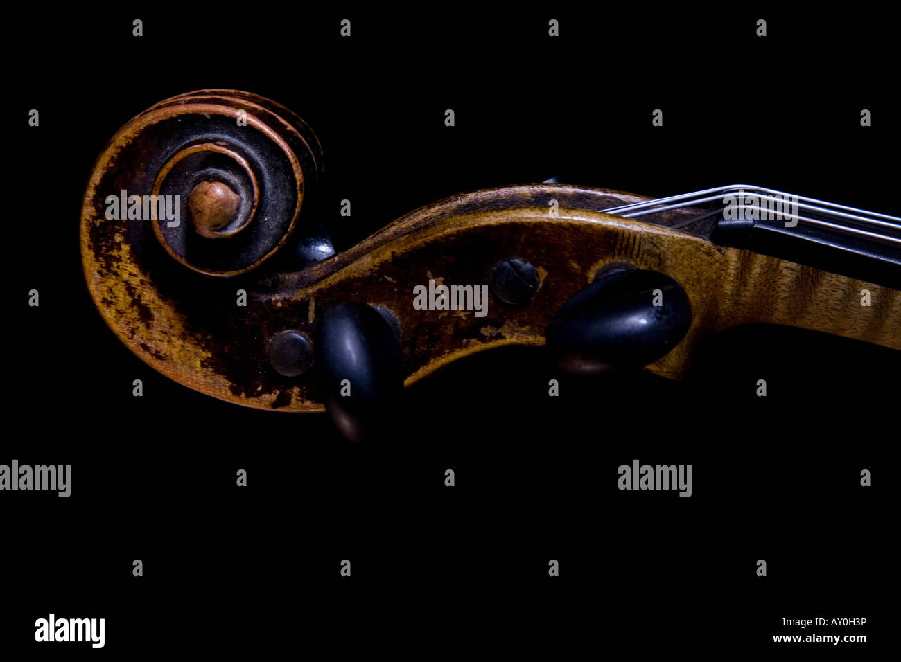 Violin Scroll side view of a violin scroll with pegs and neck. Violin