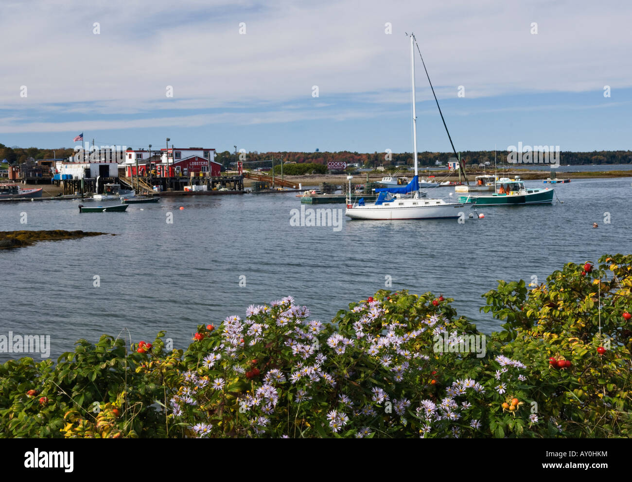 Lobster House Restaurant Boats and Wharf on Bailey s Island Cumberland