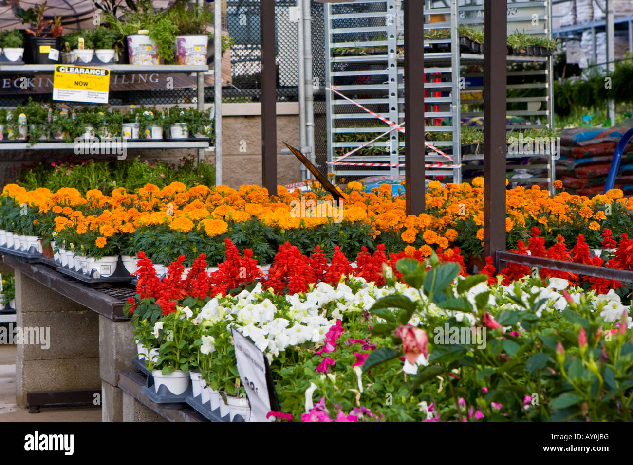 Lawn with colourful flowers hi-res stock photography and images - Alamy