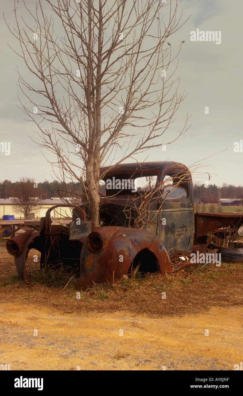 Abandon truck with tree growing through it Stock Photo