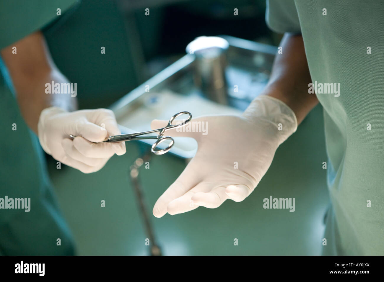 Nurse giving doctor clamp Stock Photo