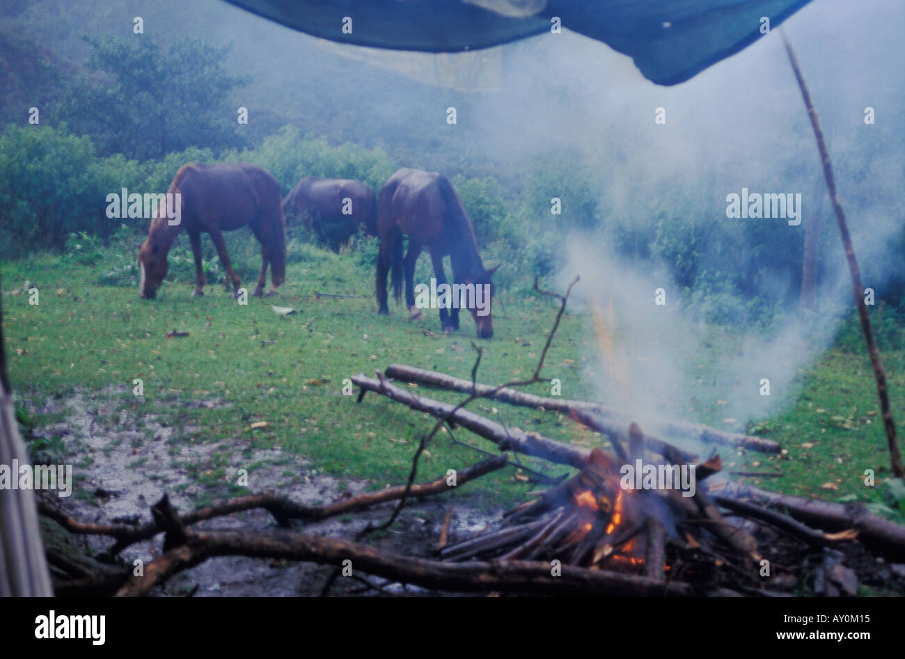 Log fire rain and horses in Vilcabamba in Ecuador Stock Photo