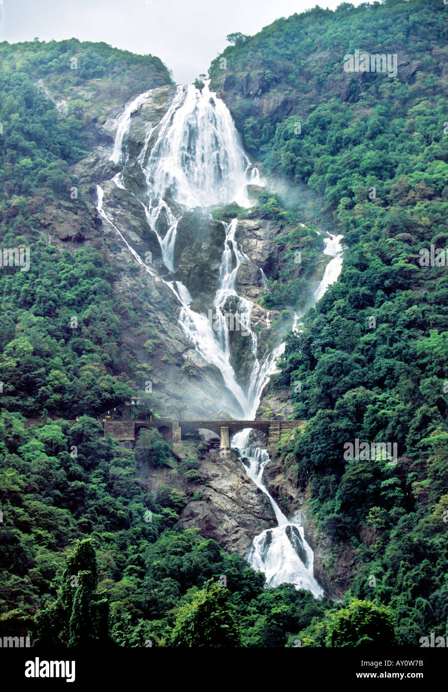 Dudhsagar Waterfalls Goa India Asia Stock Photo - Alamy Dudhsagar Waterfalls Goa India Asia Stock Photo - Alamy