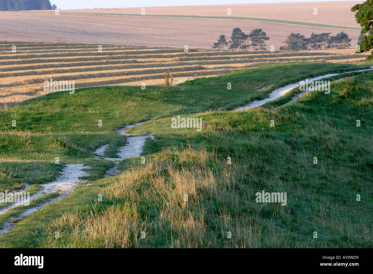 Eroded footpath on embankment of Avebury stone circle in Wiltshire Stock Photo