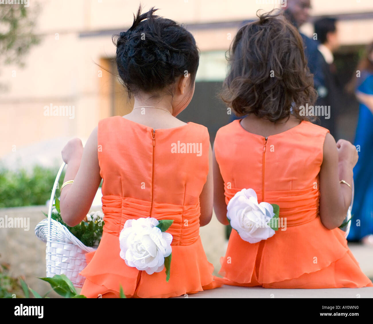 two flower girls Stock Photo Alamy