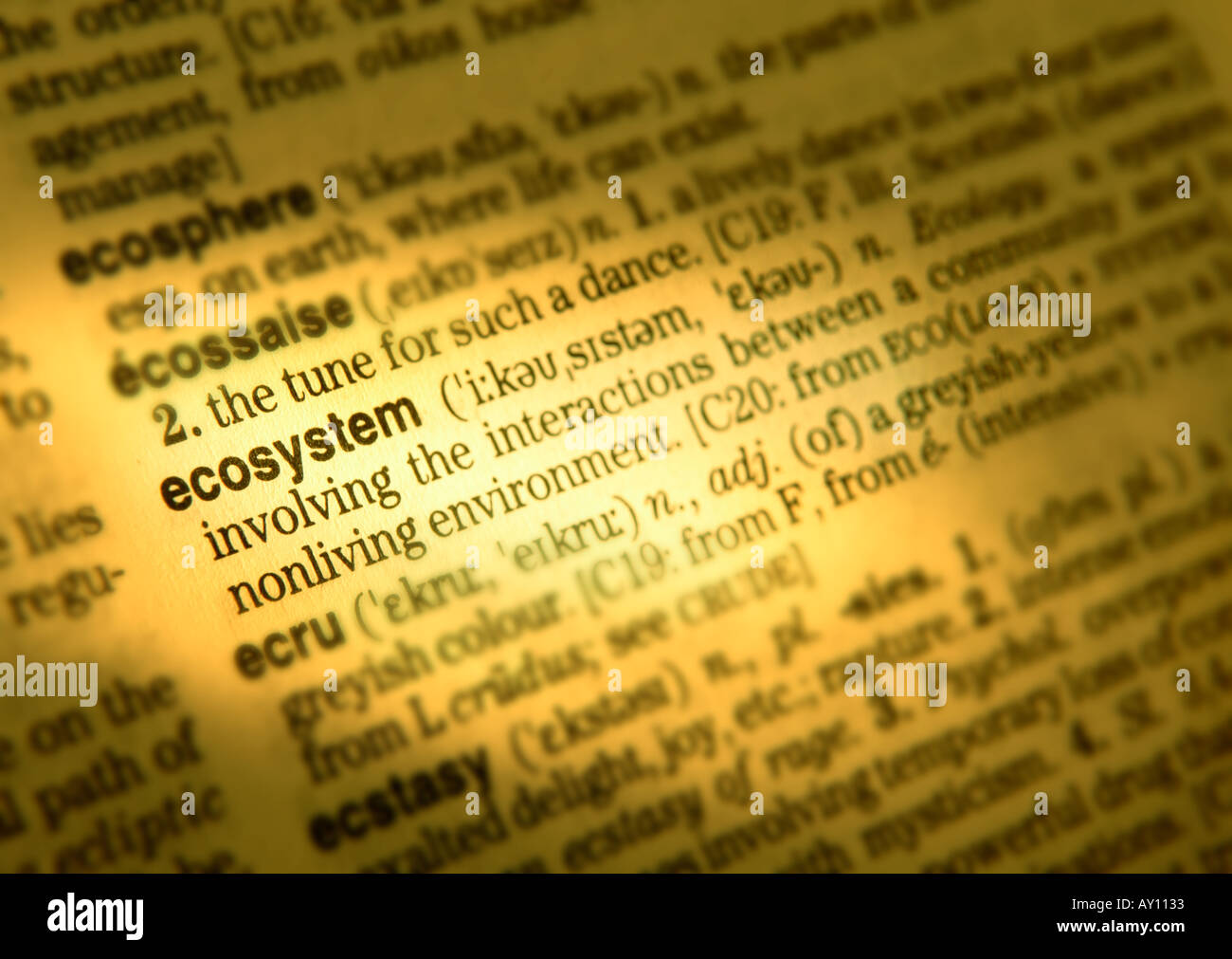 Ecosystem concept hi-res stock photography and images - Alamy