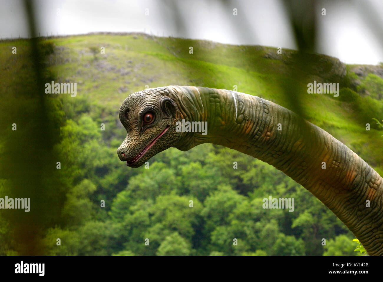 Brachiosaur in the Worlds biggest dinosaur park at the Dan yr Ogof Showcaves in the Brecon Beacons National Park Powys Wales UK Stock Photo
