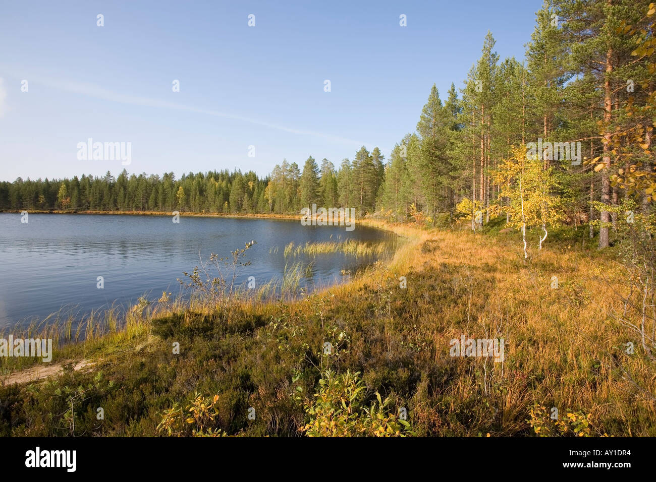 Lake scenery in Tiilikkajärvi National park Finland Europe Stock Photo