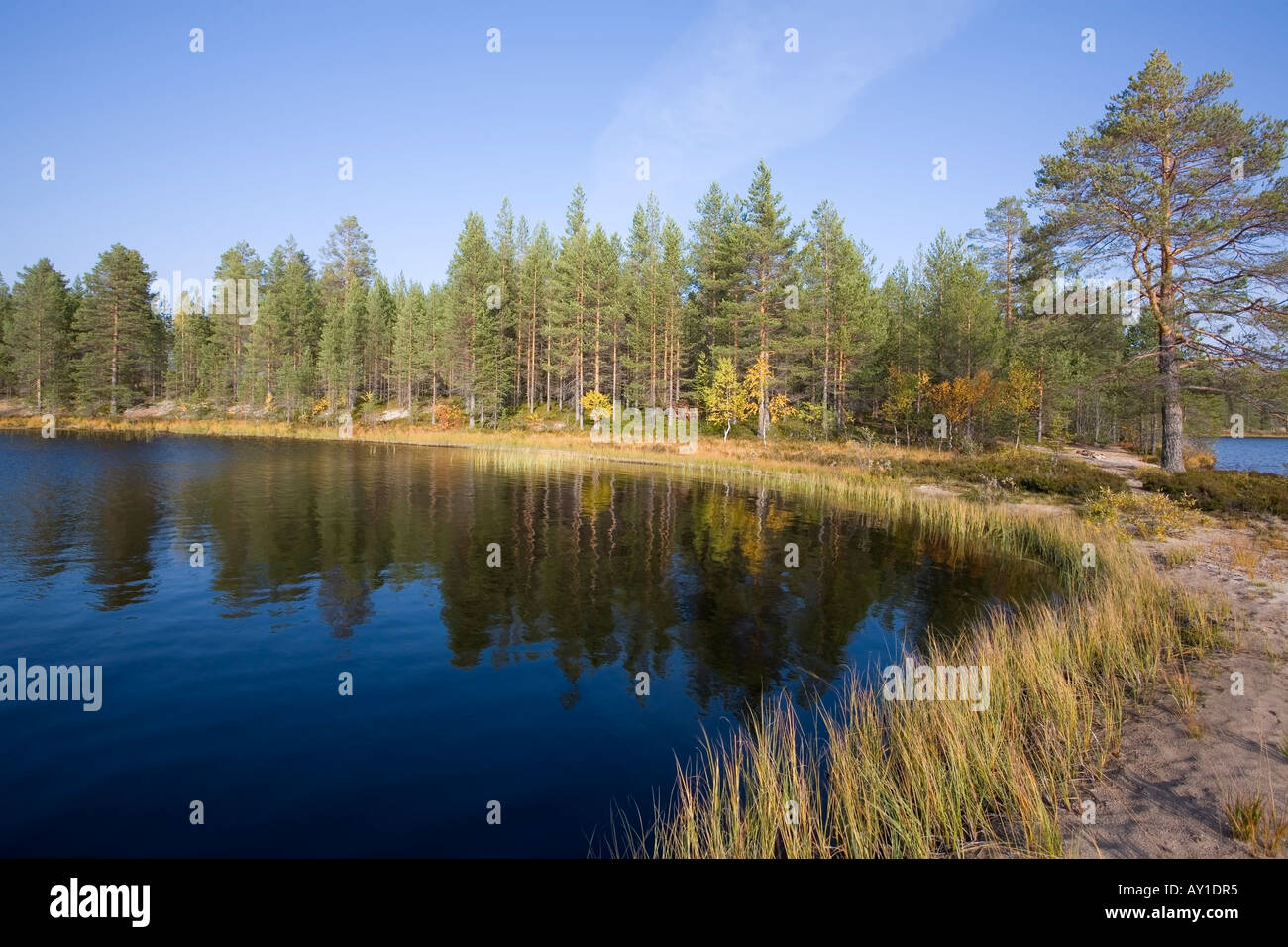 Lake scenery in Tiilikkajärvi National park Finland Europe Stock Photo