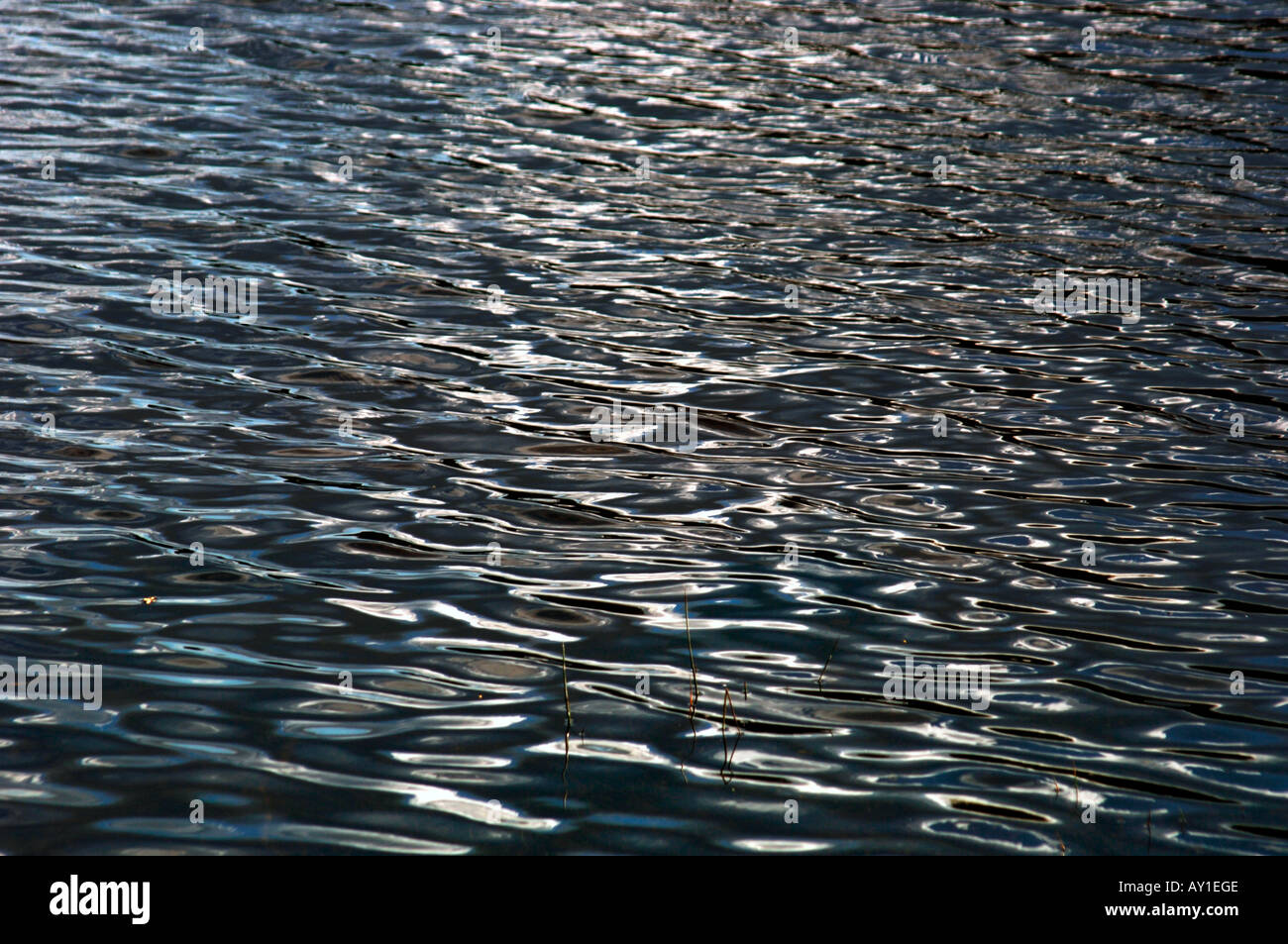 Image fresh water background hi-res stock photography and images - Alamy