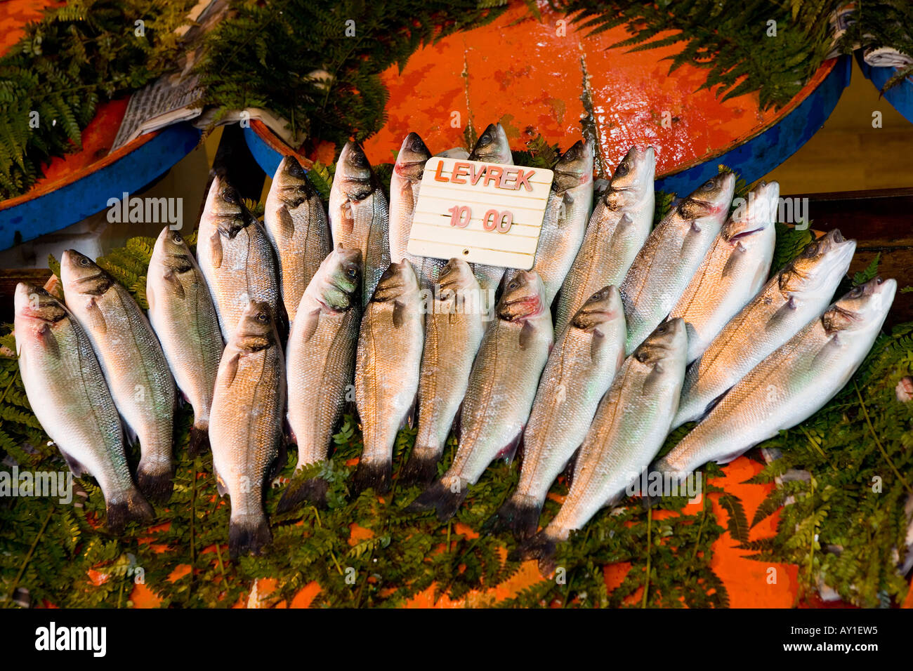 Sea bass fish for sale at market stall in Istanbul, Turkey Stock Photo Alamy