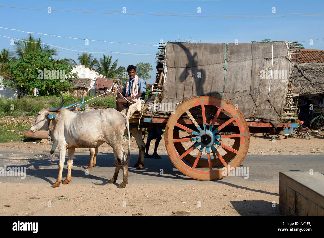 traditional indian ox cart transport in a village near mysore Stock Photo