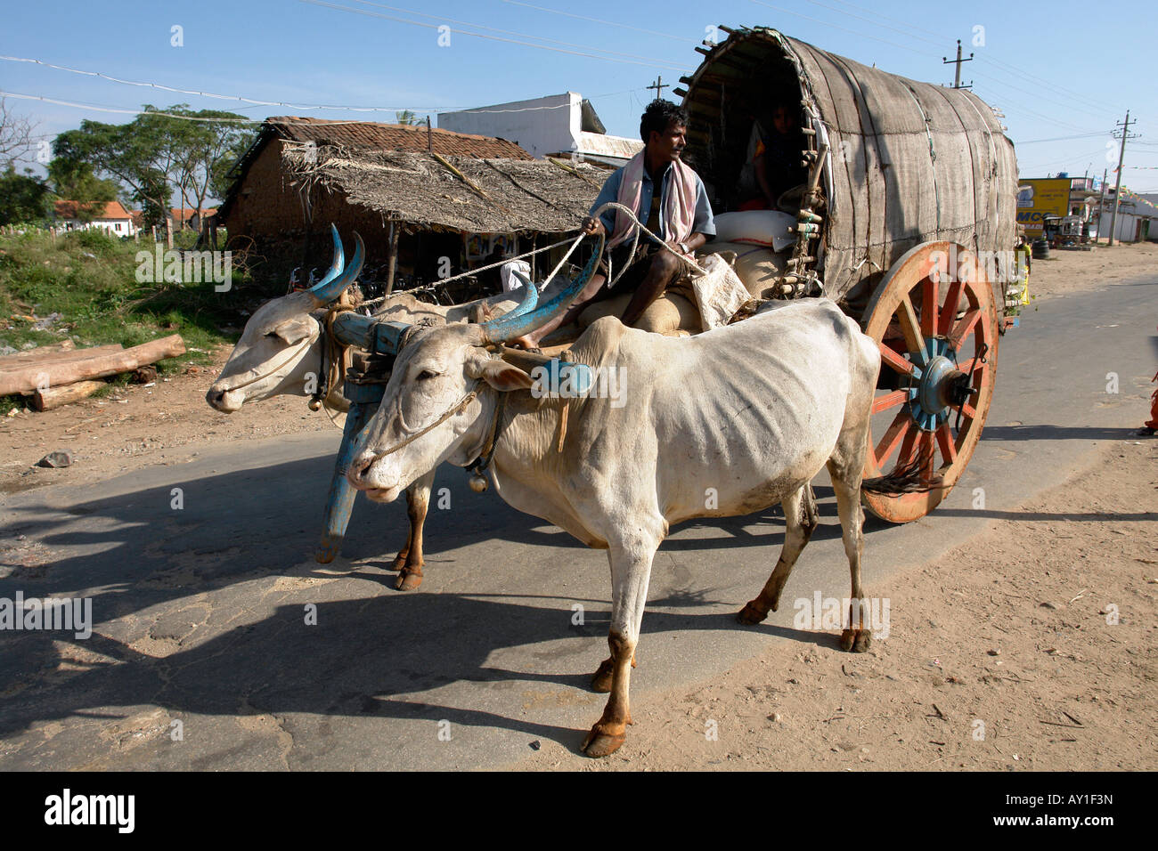 traditional indian bullock cart transport in a rural south indian village Stock Photo