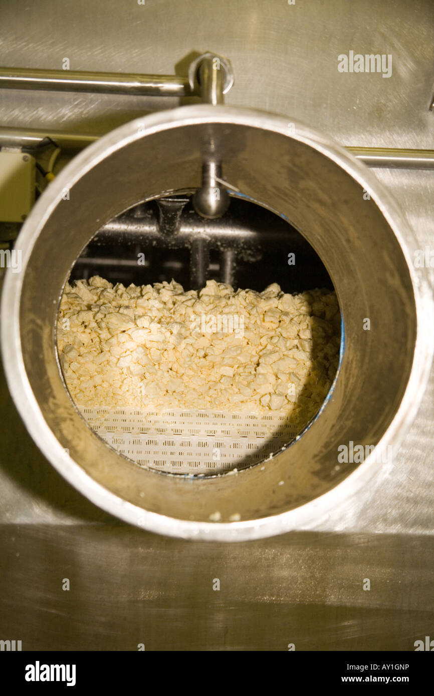 Churn cheddar cheese making drums. Cheese factory processing plant