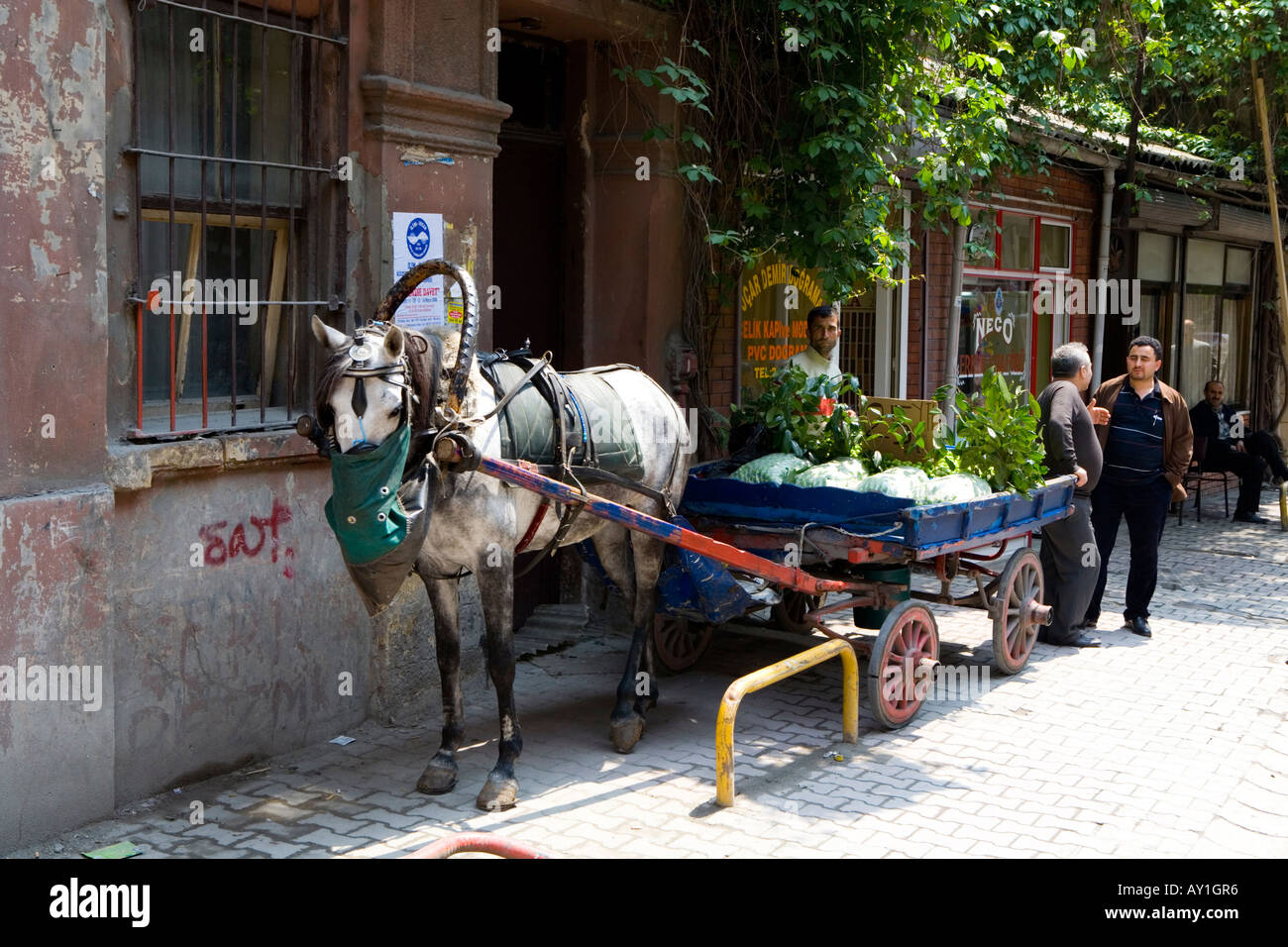 A horse attached to a carriage pulling groceries Stock Photo Alamy