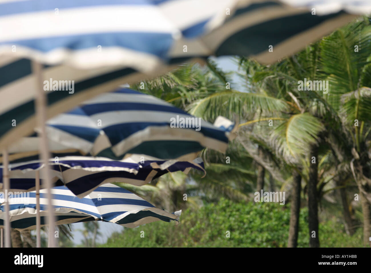 Windy coastal umbrellas hi-res stock photography and images - Alamy