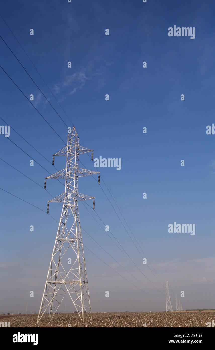 power lines in field running to vanishing point Stock Photo - Alamy