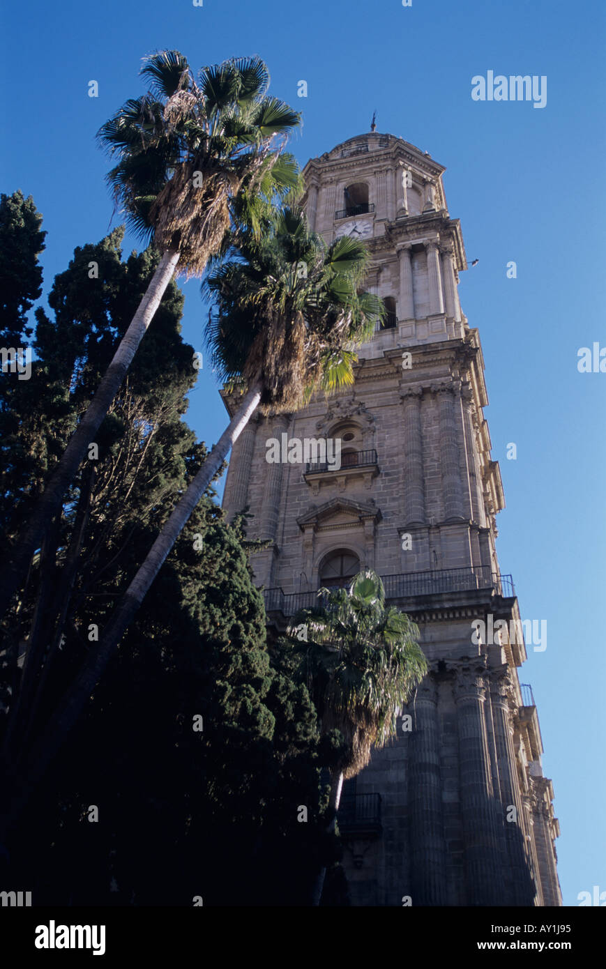 cathedral of Malaga Andalusia Spain Stock Photo