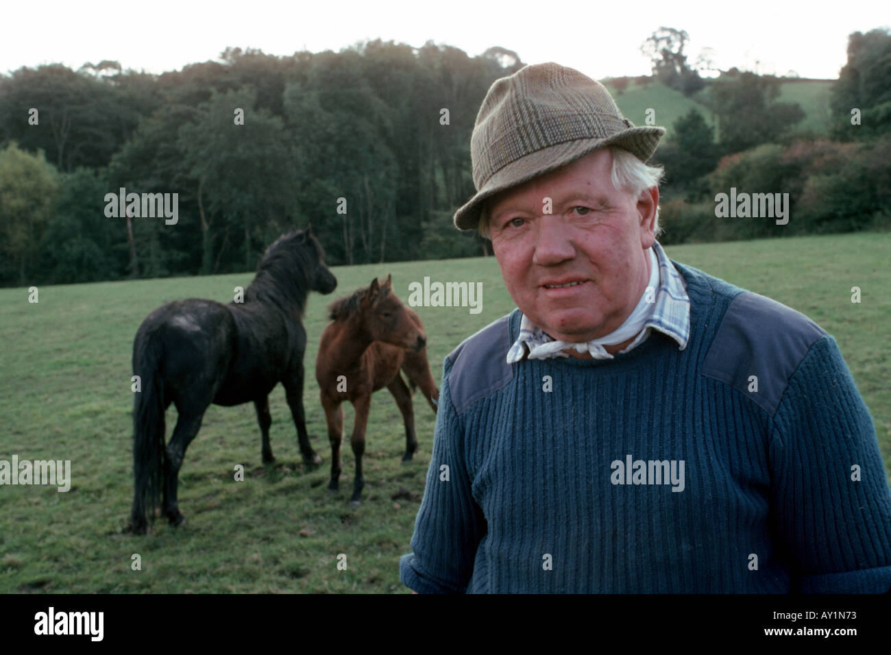 Derbyshire farmer with horses Stock Photo