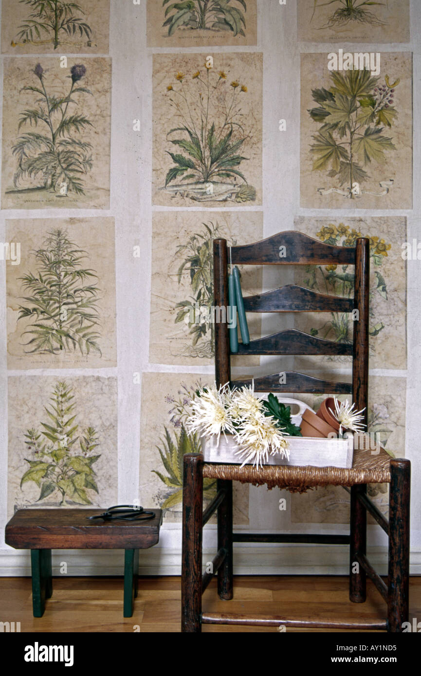 Antique rush seated ladderback chair with gardening basket and flowers in front of wall decorated with historic flower prints Stock Photo