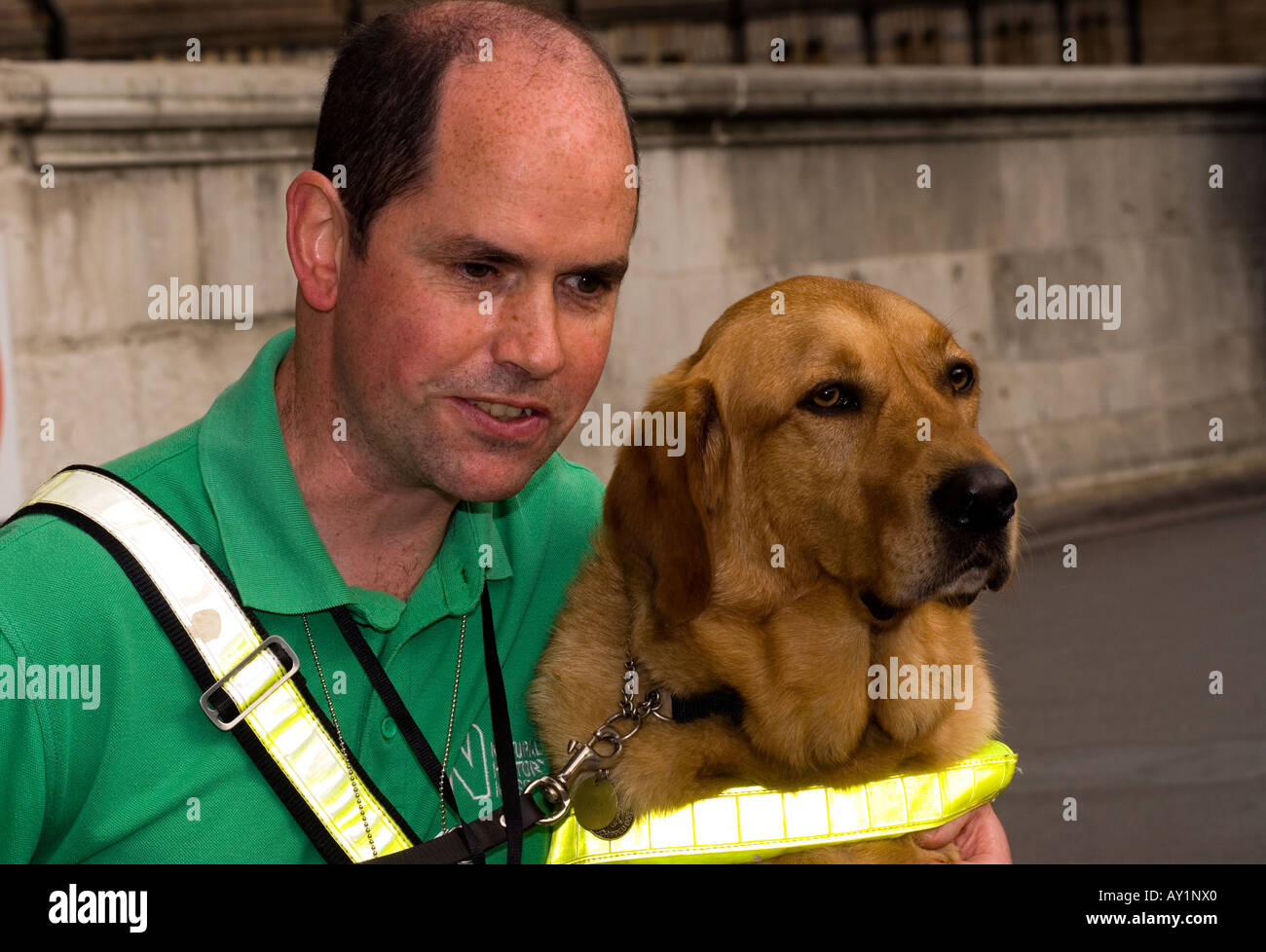 Blind man with his guide dog outside Natural History Museum London UK Stock Photo Alamy
