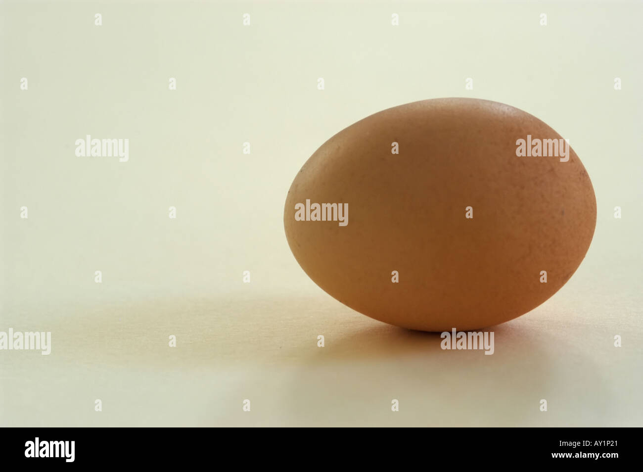 Whole speckled brown egg on natural colour surface Stock Photo