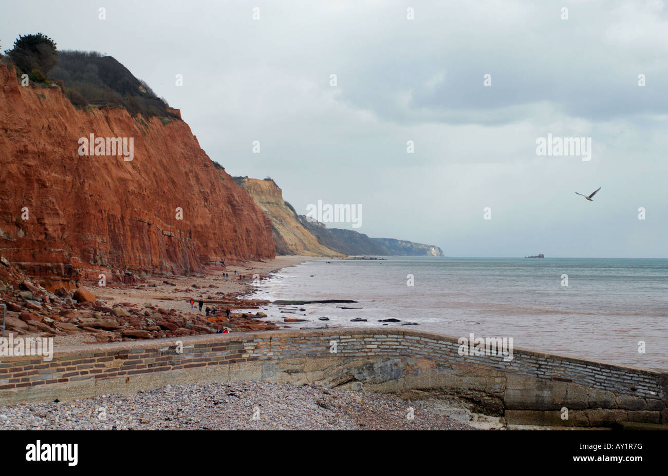 Sandstone cliffs at Sidmouth Devon part of the Heritage Coastline also