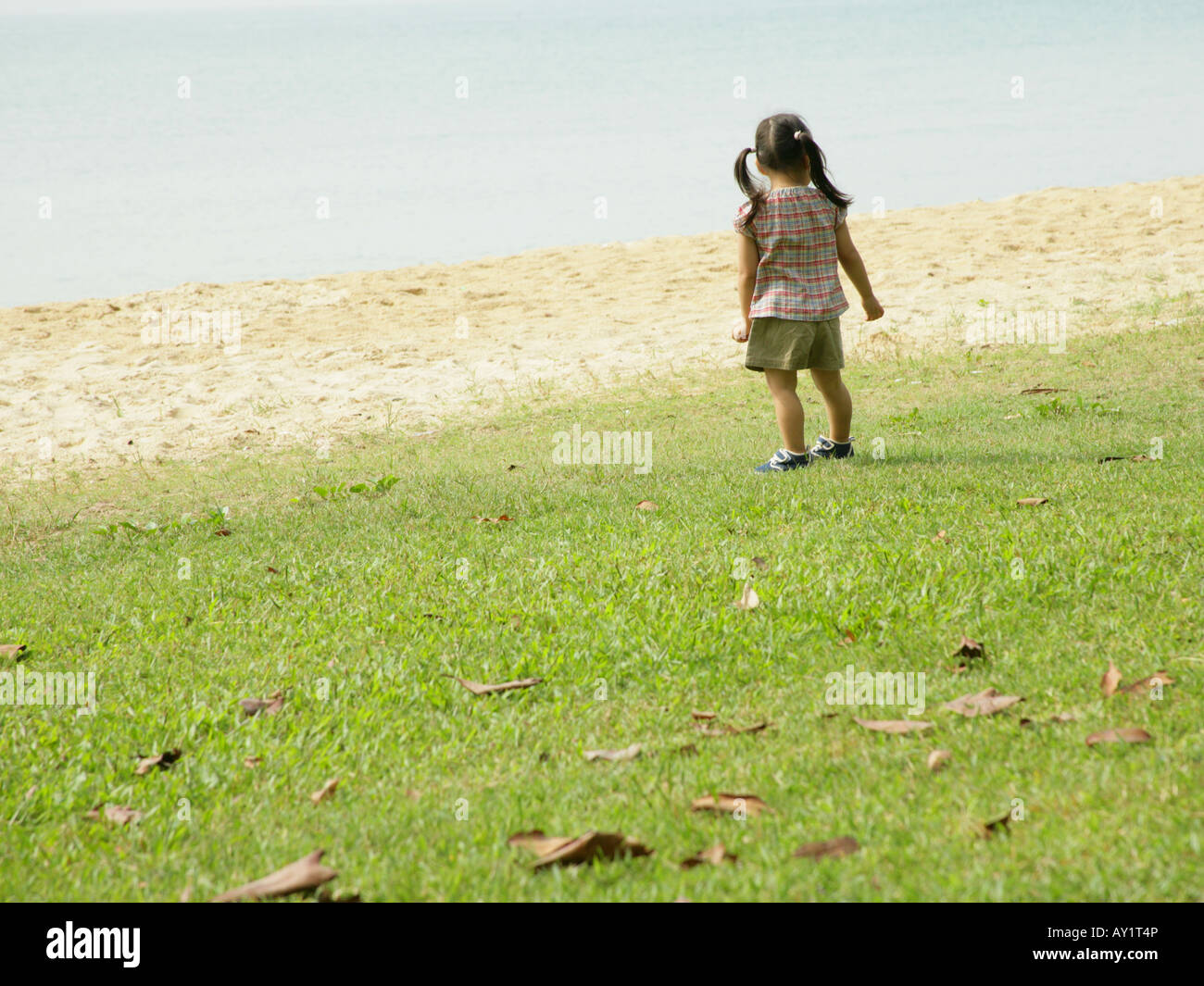 Rear view of a girl standing on the lawn Stock Photo - Alamy