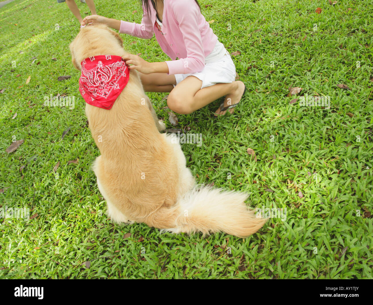 Side profile of a girl crouching with a dog in the garden Stock Photo