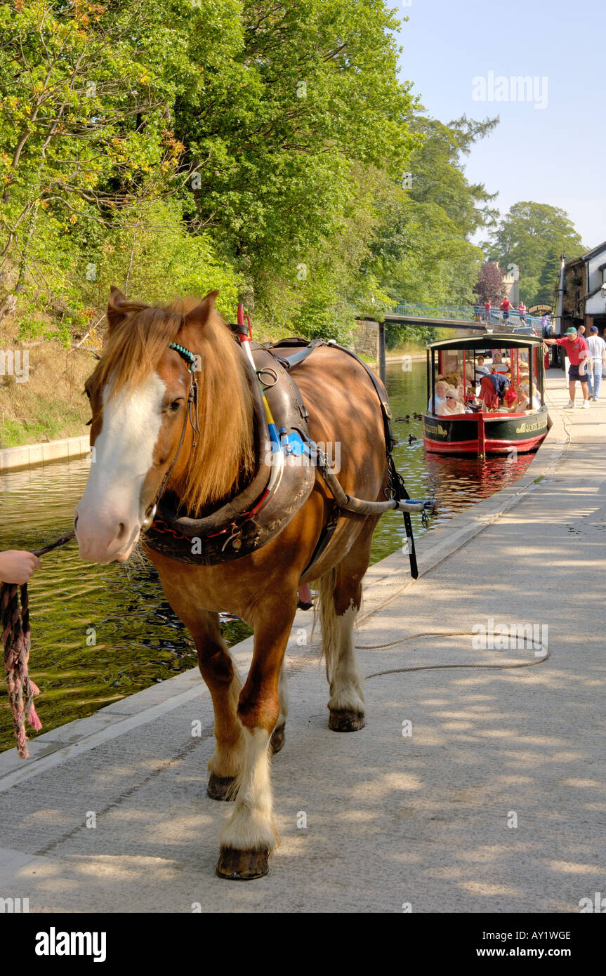 Horse pulling barge hires stock photography and images Alamy