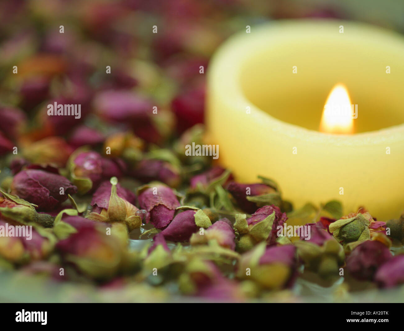 Close-up of a burning candle with dried roses Stock Photo - Alamy