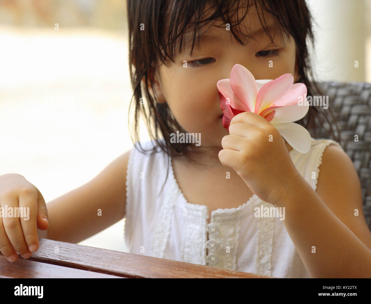 Black child smelling flower hi-res stock photography and images - Alamy