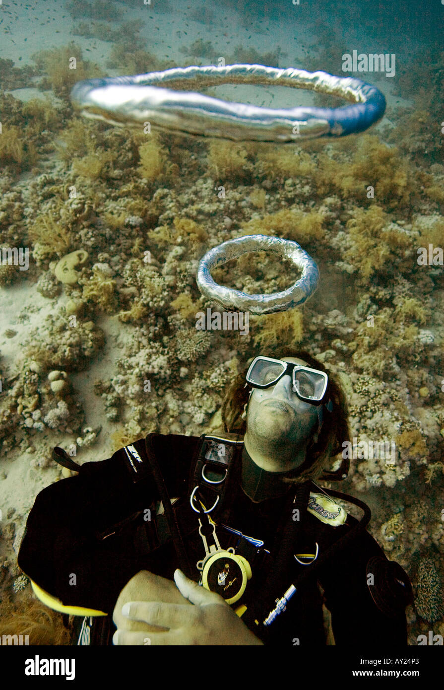 Bubble rings made by diver float to the surface Bubbles are made