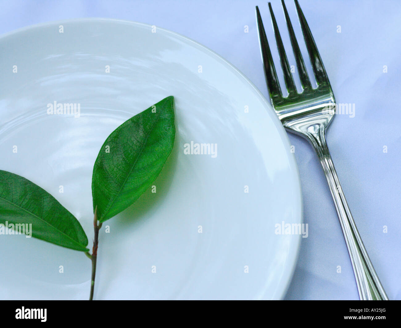 Close-up of Narra leaves in a plate (Pterocarpus Indicus) Stock Photo