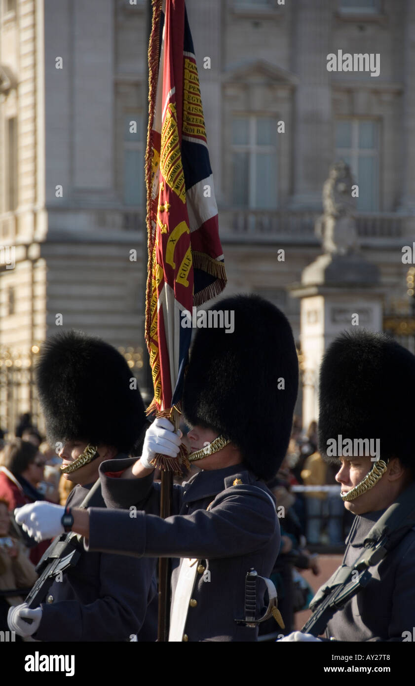 Guardsman carrying the regimental colours during the changing of the ...