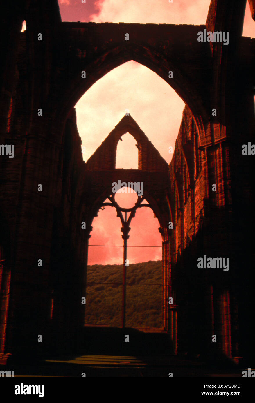 Tinern Abbey South Wales Stock Photo